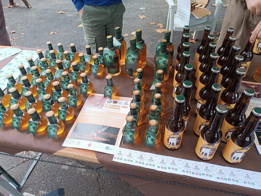 immagine festa della castagne