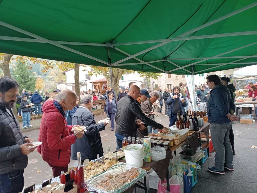 immagine festa della castagne
